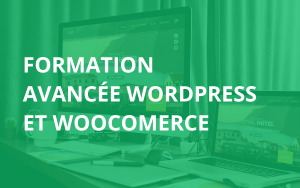 WordPress 2024 :Créez votre site web professionnel de A à Z et WooCommerce